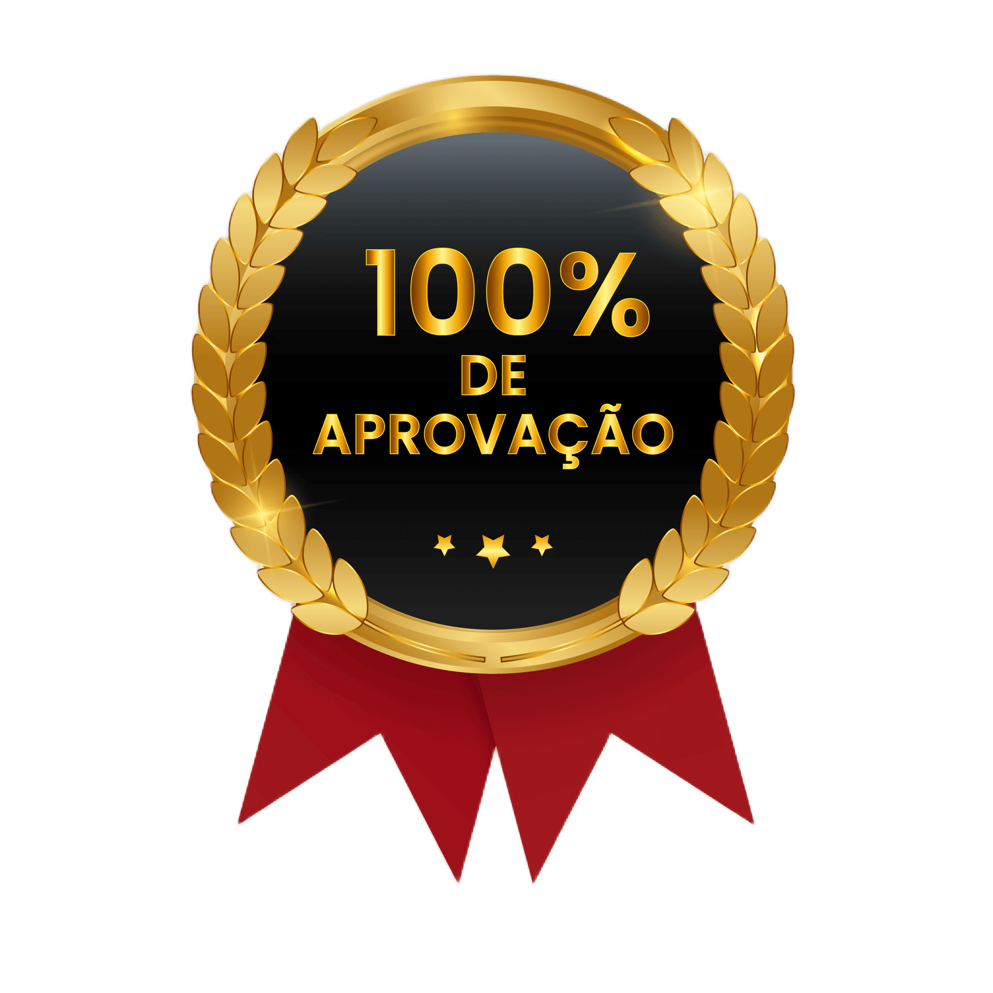 SELO DE APROVAÇÃO-remove-bg-io (1) (1)